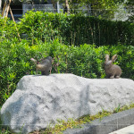 座落於大塊森濤景觀庭園後方的街道家具，以大自然生態(tài)為靈感創(chuàng)作《河畔青青》，建立起土地與建築的對話，承載人們愜意悠然的片刻。