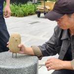 每一隻鳥兒都有著獨特的姿態(tài)和表情，彷彿在述說著它們自身的旅程與故事。