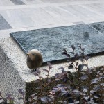 選用基地的石頭來做街道家俱，運用此塊土地生長出來的原石，透過人的創(chuàng)造，分享土地與建築之間的對話及溫暖守護的連結(jié)。 