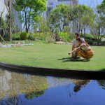 陽(yáng)光草坪 實(shí)景圖