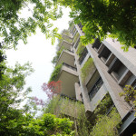 建築造型與綠化 實(shí)景圖