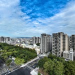 與園道的對(duì)話