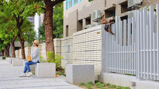 換上一層新的人行道磚與錯落的街道座椅，給你我駐足停留的時刻，瑯瑯書聲的作伴，加上每日的朝陽、餘暉，為眼中的風(fēng)景，添上一份迷人色彩。