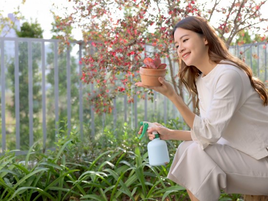 捧起微景，端看大塊美景的縮影。葉片勃發(fā)、欣欣向榮，與『大塊森濤』的靜好歲月相呼應(yīng)。