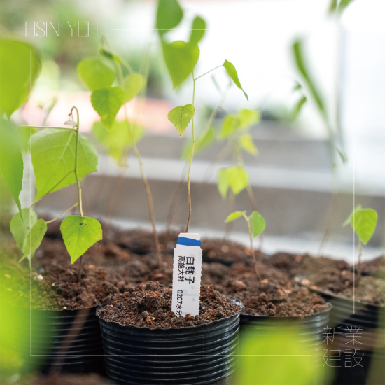 『臺灣山林復育協(xié)會』，核心目的是推動本土的生態(tài)教育，進行自然棲地的保護，在地種源的復育，及推動廢耕山坡地順應演替復育為自然森林的工作。