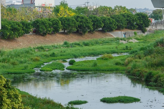 蜿蜒的筏子溪與新業(yè)做鄰居已經(jīng)有一段年月，縱長的河道是小魚小蝦們的家，讓我們一起保護(hù)牠們的家園，付出行動愛地球。