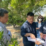 即使是一棵樹的規(guī)劃，也需方方面面、適居適所，為住戶帶來(lái)最能契合生活的好鄰居，打造自在森活的綠意空間。