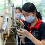 用雙手炙熱的溫度，一捏一壓，棉繩編綁，一串串的美好心意，在佳節(jié)時(shí)刻為長(zhǎng)輩們獻(xiàn)上祝福。