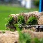 一捲?huà)缘难砻鐠?，像極抹茶瑞士捲，捲秧苗也是一門(mén)學(xué)問(wèn)，彎著腰把有重量的苗卷一左一右的放置，為了方便搬運(yùn)不壓壞秧苗，層層疊疊，也方便後續(xù)秧苗機(jī)的使用。