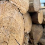 細看木紋的肌理、柔和，展現(xiàn)獨一無二的歲月，自然色澤，不僅帶來舒心感受，也能提升居家空間質感。