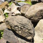 每一顆石頭背後乘載無盡的歲月，塵土與大地的繾綣，風吹水流，留下獨特紋理、歷史刻痕，堅毅的外殼更富含著溫柔的故事。