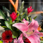 良辰吉日，透過聲聲祝禱，繫起天地與人之間的對話，期盼2024年完工的【築森鄰】完美收尾。