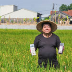 支持霧峰在地三代小農(nóng)－翁良材先生，企業(yè)化的經(jīng)營模式，堅(jiān)持品質(zhì)、嚴(yán)選品種，讓稻田直達(dá)餐桌，品嘗最純粹的米香。