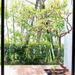 看一棵樹在地板上描繪出自己影子的輪廓，也捕獲四季生動(dòng)而多變的表情。