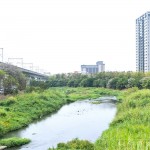 與家族相聚於西屯路永安橋的筏子溪，即將在此展開一場意義非凡的生態(tài)保育行動。