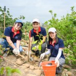 新業(yè)建設(shè) 邱正光 副總經(jīng)理(圖中)攜手各部門同仁，益起為大肚山森林當起生態(tài)志工。