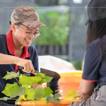 當天換盆樹種之一的山芙蓉，又稱三醉芙蓉，需要強日照，且耐旱，在開花後的一天之中，會有三種顏色變化，像是表情善變的美人。