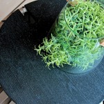 玻璃盆栽盛滿著盎然的綠意，悄悄向外蔓延，不妨期待著這株綠意在某一天帶給你的驚喜。