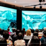 冰島沙灘上躺滿了大小形狀不一的冰塊，像極了鑽石，晶瑩剔透、藍(lán)白相間，從冰河母體崩解，流落到冰河湖再漂向大海，流連在海岸線上，古老冰河的遺骸，年歲比陸地上最古老的神木都要老上百萬倍。