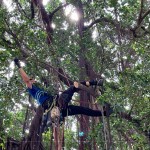 樹林中的「蜘蛛人」，利用腳鎖式（Footlock）快速攀升到切點，時而擺盪、時而穿梭林間，其中技巧有著大大學問。