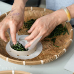 體驗活動—手作時空茶餅，享受茶香，感受風(fēng)土，沉浸五感之間，雙手揉捻茶菁，感受每一片茶葉醇香的轉(zhuǎn)變，待烘乾後，泡上一盞心韻茶香。