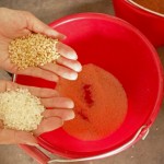 由碾米機(jī)處理過(guò)的白米一亮相，即可與尚未脫穀的稻米做出明顯區(qū)別。