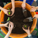 復育森林，並非將樹種滿，而是選擇適地適種的原生種，透過 ＃樹苗培育，達到生態(tài)平衡，維持生物多樣性。