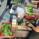 每天早上，中央廚房就開始著手備餐，雖忙碌，但每個流程是滿滿的用心與付  出。