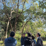 樹(shù)形整體飽滿度、分枝錯(cuò)落的方向，以及360°環(huán)繞視角下，是否能達(dá)成美的平衡，皆是選樹(shù)時(shí)重要的考量。