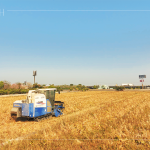 放眼望去猶如金黃稻浪，結(jié)綴累累的稻穗是農(nóng)民們辛勤付出的最美風(fēng)景。