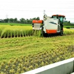 一粥一飯，當思來處不易，所扒進嘴裡的每一口飯，我們都能想見：此刻，樂天的農(nóng)民正以著最樸實的笑容，來迎接稻田每一天的欣欣向榮。