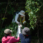 帶上夾子、爬上邊坡，草堆之間可以明確看到這些待清除的「不塑之客」，唯有仔細(xì)尋覓，才能還給河川與自然乾淨(jìng)的家園。