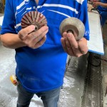 專業(yè)磨石材「造型師」登場(chǎng)！左邊的工具適合硬度較高的花崗巖，右邊則適合切割硬度較軟的大理石，儼然已經(jīng)摸清石材的脾氣與習(xí)性，不同石材也需要不同的工具處理。