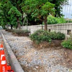 舊有人行道拆除工程，新業(yè)保留原有的樹穴，還給喬木更多的生長空間，美化的同時也善待環(huán)境。