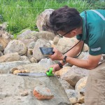 特別挑選顏色鮮豔的『黃金角石』，鋪墊後院生態(tài)水池的底部，即使是一顆顆石頭的規(guī)劃，也需要適居適所。