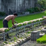 一捲?huà)缘难砻?，在秧苗輸送機(jī)上，方便農(nóng)民從較遠(yuǎn)處的秧苗場(chǎng)輸送，可節(jié)省人力與時(shí)間。