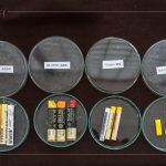 除了油畫(huà)棒，講師當(dāng)天還攜帶了其他的創(chuàng)作媒材，並分享各款媒材的成分差異與使用差異，讓創(chuàng)作者日後更能輕易分辨媒材。