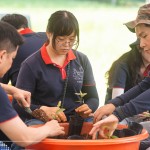 透過植樹活動(dòng)落實(shí)減碳淨(jìng)零的計(jì)畫，新業(yè)希望以行動(dòng)展現(xiàn)對(duì)這片寶島土地的關(guān)懷，齊心打造綠色永續(xù)環(huán)境。