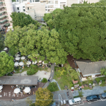 植物茂密繁盛，書(shū)香氣息瀰漫，1863坪內(nèi)的百年榕樹(shù)，樹(shù)大根深的高木，伴隨其他樹(shù)種，更顯綠意盎然的景致。