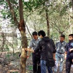 樹形整體飽滿度、分枝錯(cuò)落的方向，360°觀看下是否皆能達(dá)成美的平衡等皆是新業(yè)選樹的考量。