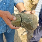 選擇表面上有些許青苔的「苔石」，作為溪流瀑布區(qū)的砌石。將天造之物與『大塊森鄰』的日常景色融合為一。