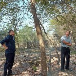 簡福榮總經(jīng)理（圖右）與吳志輝建築師（圖左），各自從不同方向繞樹觀察評估，並想像著未來住戶在樹下抬頭望見的景象。