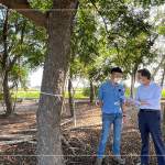 新業(yè)建設(shè) 簡(jiǎn)福榮 總經(jīng)理(右一) 與景觀設(shè)計(jì)團(tuán)隊(duì)逐步討論，樹種與樹高，為建築尋找契合的對(duì)象。