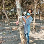 選定每棵樹木後，新業(yè)團(tuán)隊(duì)會以紅色緞帶繫上樹幹紀(jì)錄，宛如為櫸木與『築之細(xì)道』之間密不可分的「紅線」。