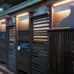 在黃光暈染下，貓也慵懶地窩著身子，大樹(shù)時(shí)而抖落紅葉，正等待著，有人攜書(shū)悄然來(lái)到……