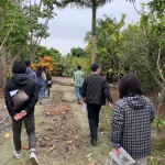 比任何人都在意您的生活，新業(yè)團(tuán)隊不怕奔波！只為把更好的樹種移植到您的居住空間。
