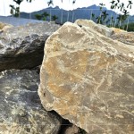 今年盛夏之際，新業(yè)團隊前往南投國姓鄉(xiāng)，為2025年即將落成的『大塊森濤』，挑選庭園造景的原石。