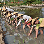 大熱天不忘抬頭對(duì)著攝影師say Cheese！
