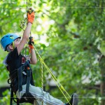 注視著樹頂?shù)墓庥?，設(shè)定小小的目標，努力在有限的時間內(nèi)達到樹冠層。