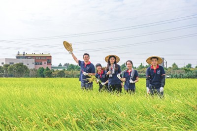 新業(yè)一畝田｜走過11年，心像一畝田